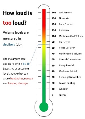 Protect Your Hearing At A Loud Concert?